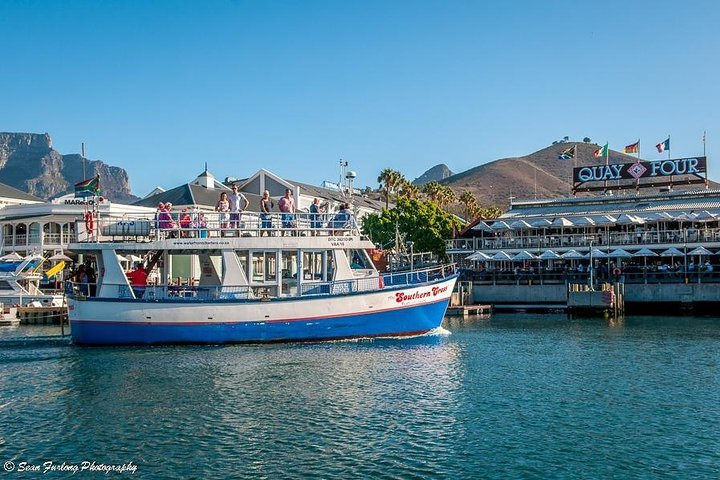 Experience the charm of Cape Town's working harbour aboard the Southern Cross where close encounters with seals and ships alongside stunning views of the V&A Waterfront await.